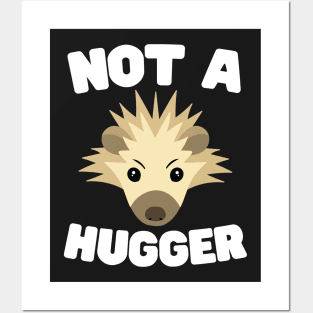 Not A Hugger Posters and Art